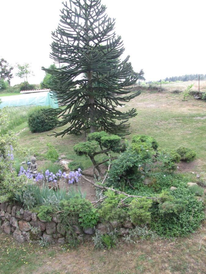 Chez Sophie Et Gilles Bed & Breakfast Monistrol-sur-Loire Екстериор снимка